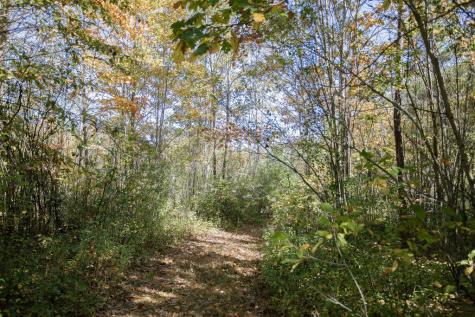 17 Treetop Lane Jay ME 04239