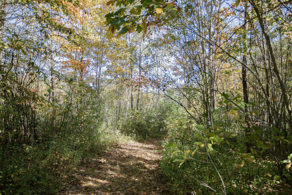 17 Treetop Lane Jay ME 04239