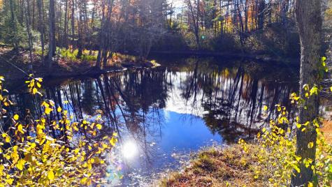 17 Treetop Lane Jay ME 04239