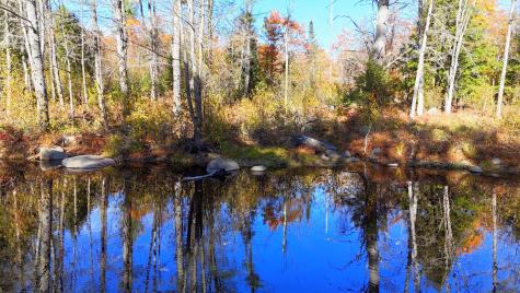 17 Treetop Lane Jay ME 04239