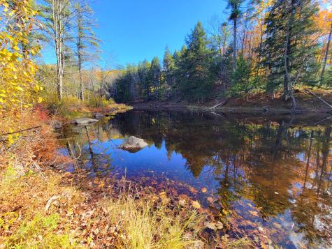 17 Treetop Lane Jay ME 04239