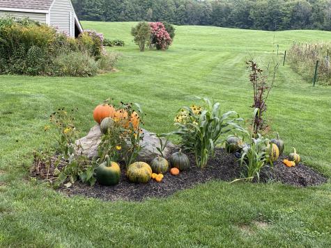 697 Fort Hill Road Gorham ME 04038