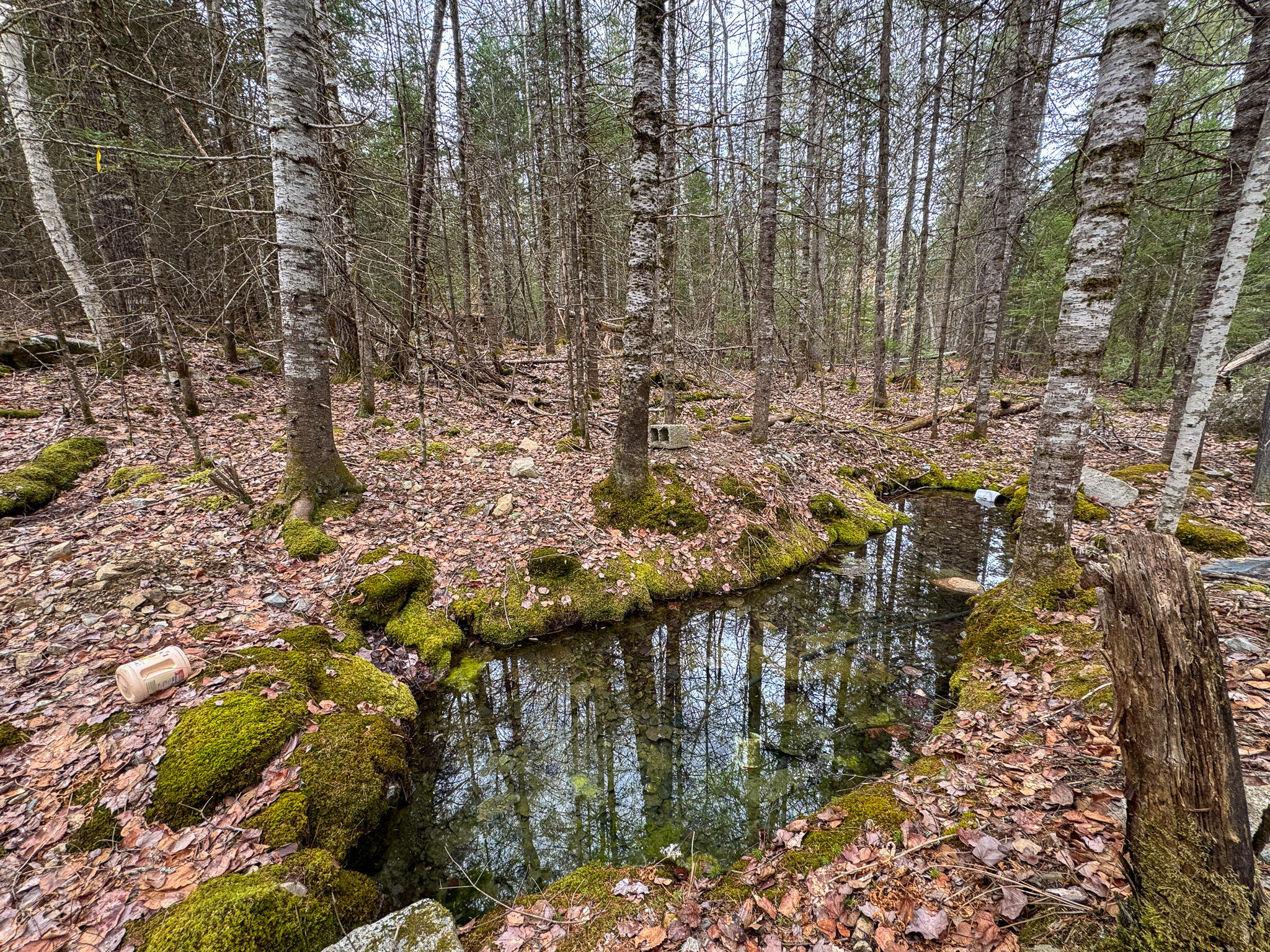 Lot 13 Fogg Brook Road Summit Twp ME 04493