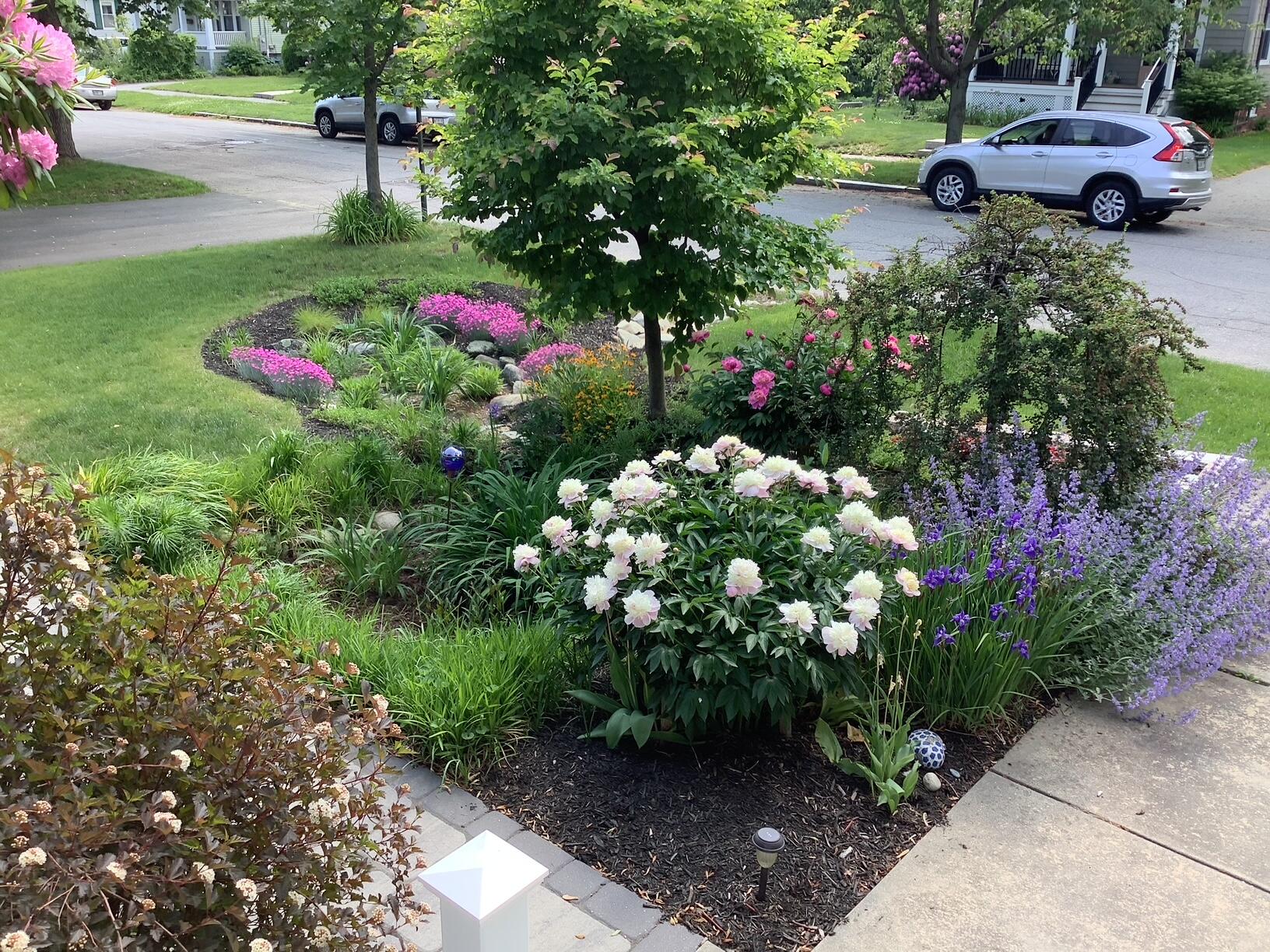 41 Caleb Street Portland ME 04102