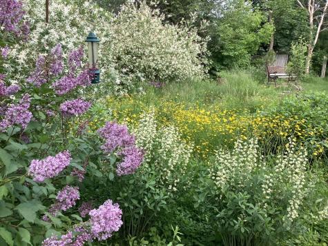 41 Caleb Street Portland ME 04102