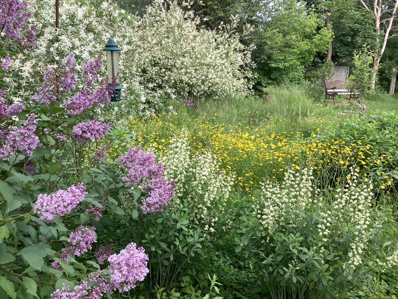 41 Caleb Street Portland ME 04102