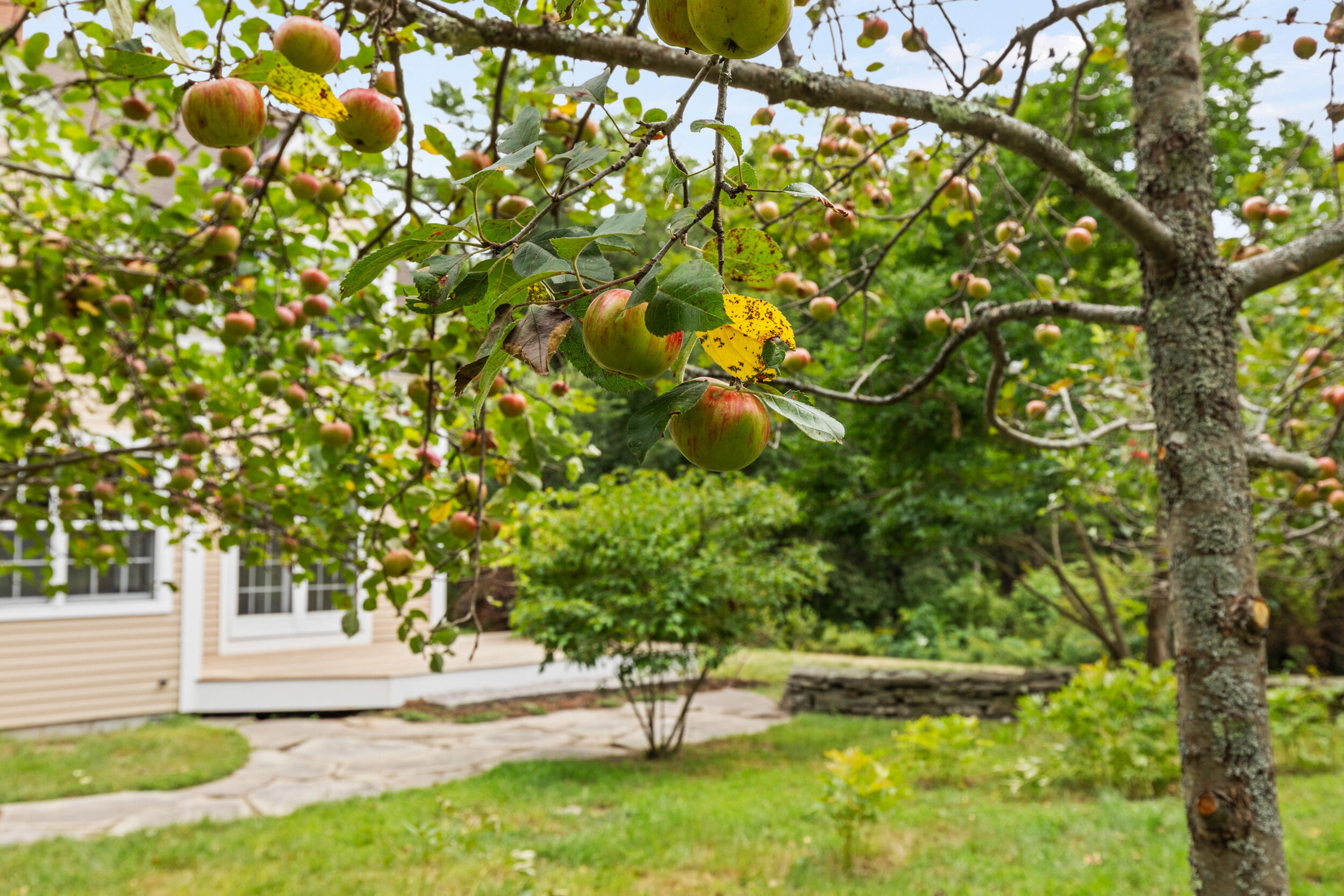 25 Meadowbrook Lane Yarmouth ME 04096