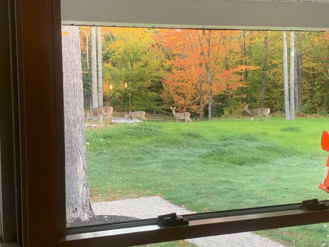 130 Marwick Road Farmington ME 04938