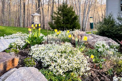 24 White Tail Drive Rockport ME 04856