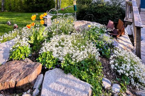 24 White Tail Drive Rockport ME 04856