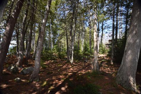 642 Railroad Bed Road Lake View Plt ME 04463