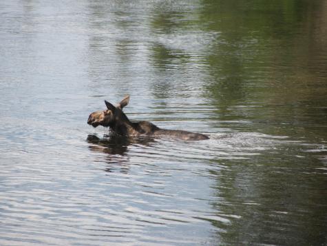 642 Railroad Bed Road Lake View Plt ME 04463