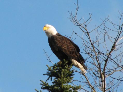 642 Railroad Bed Road Lake View Plt ME 04463