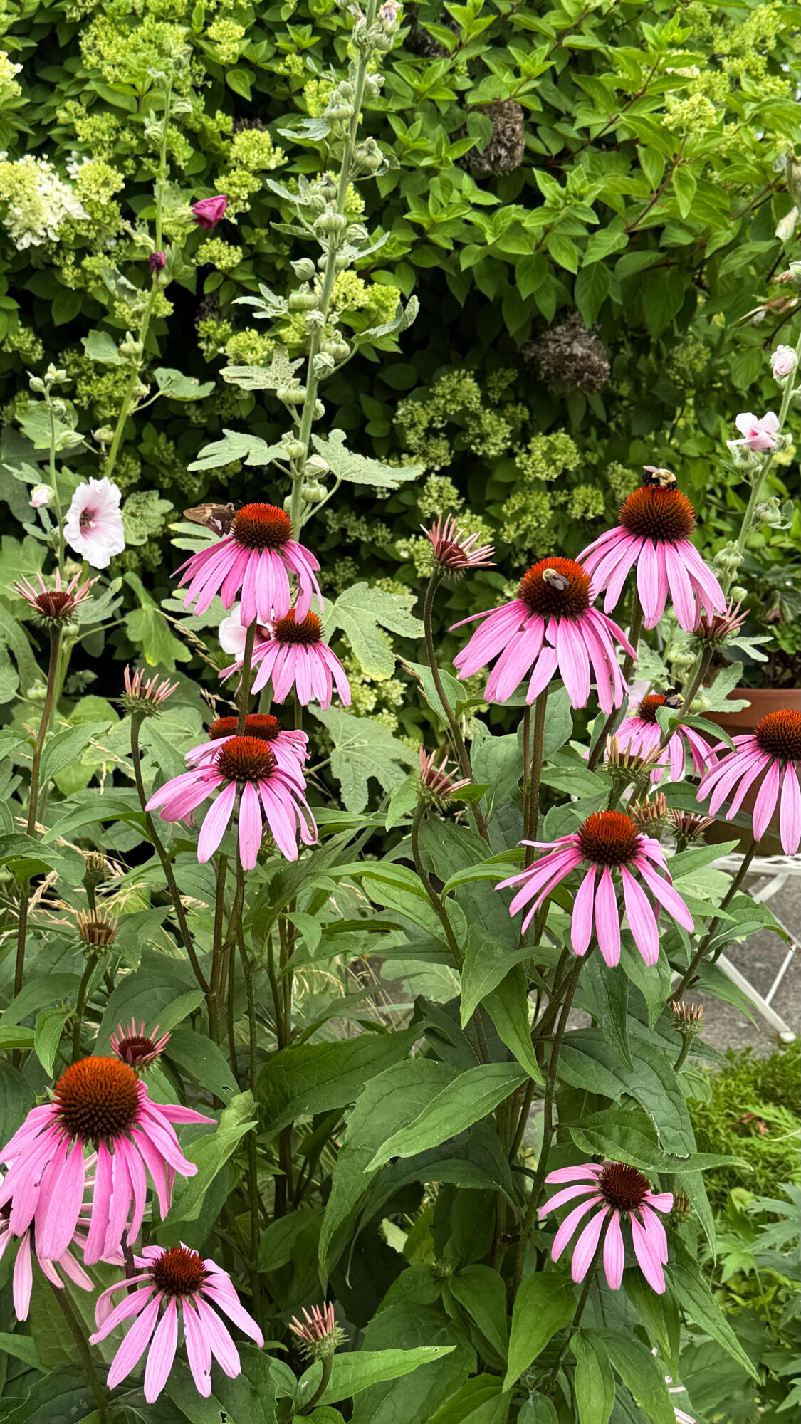 50 Glass Hill Road Guilford ME 04443