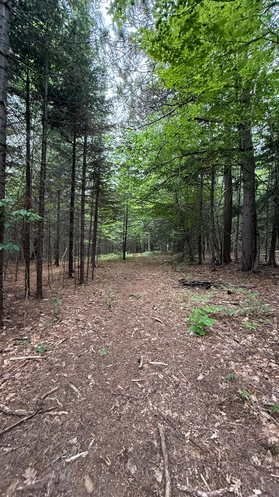 50 Glass Hill Road Guilford ME 04443