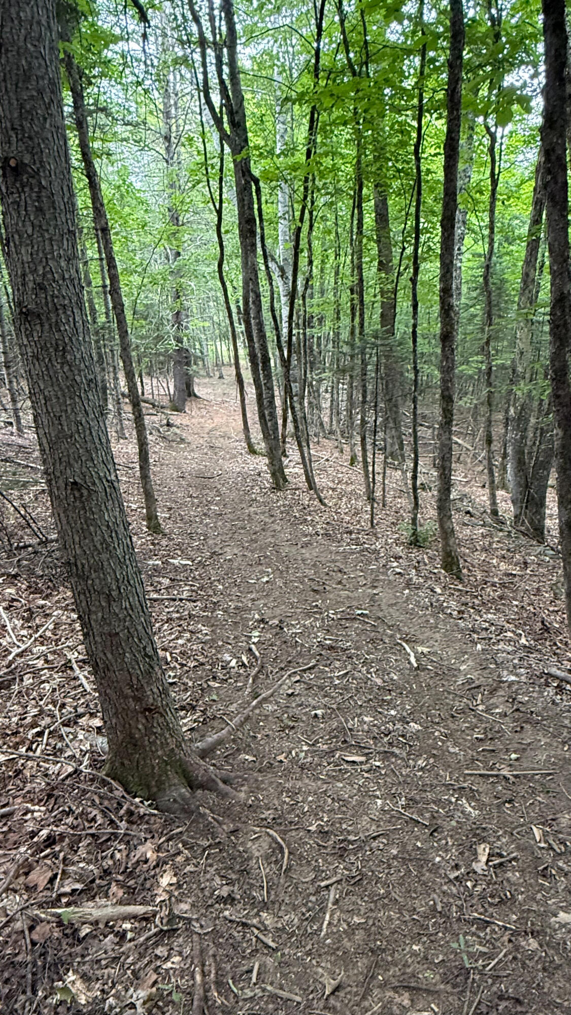 50 Glass Hill Road Guilford ME 04443