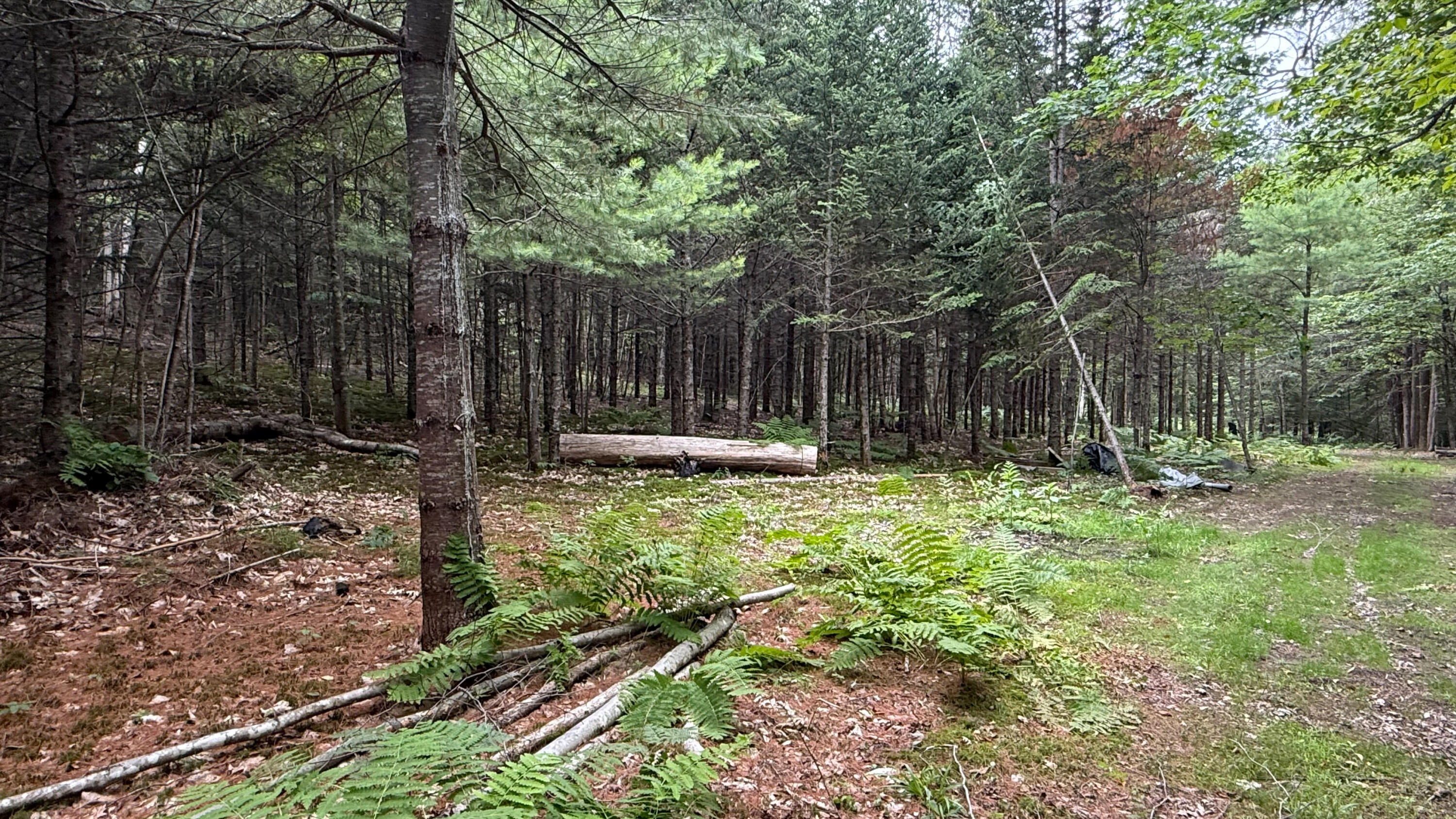 50 Glass Hill Road Guilford ME 04443