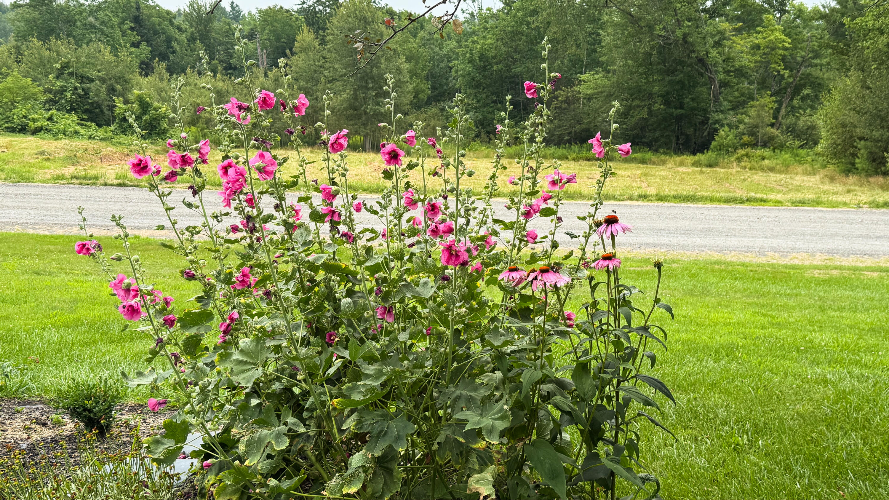 50 Glass Hill Road Guilford ME 04443