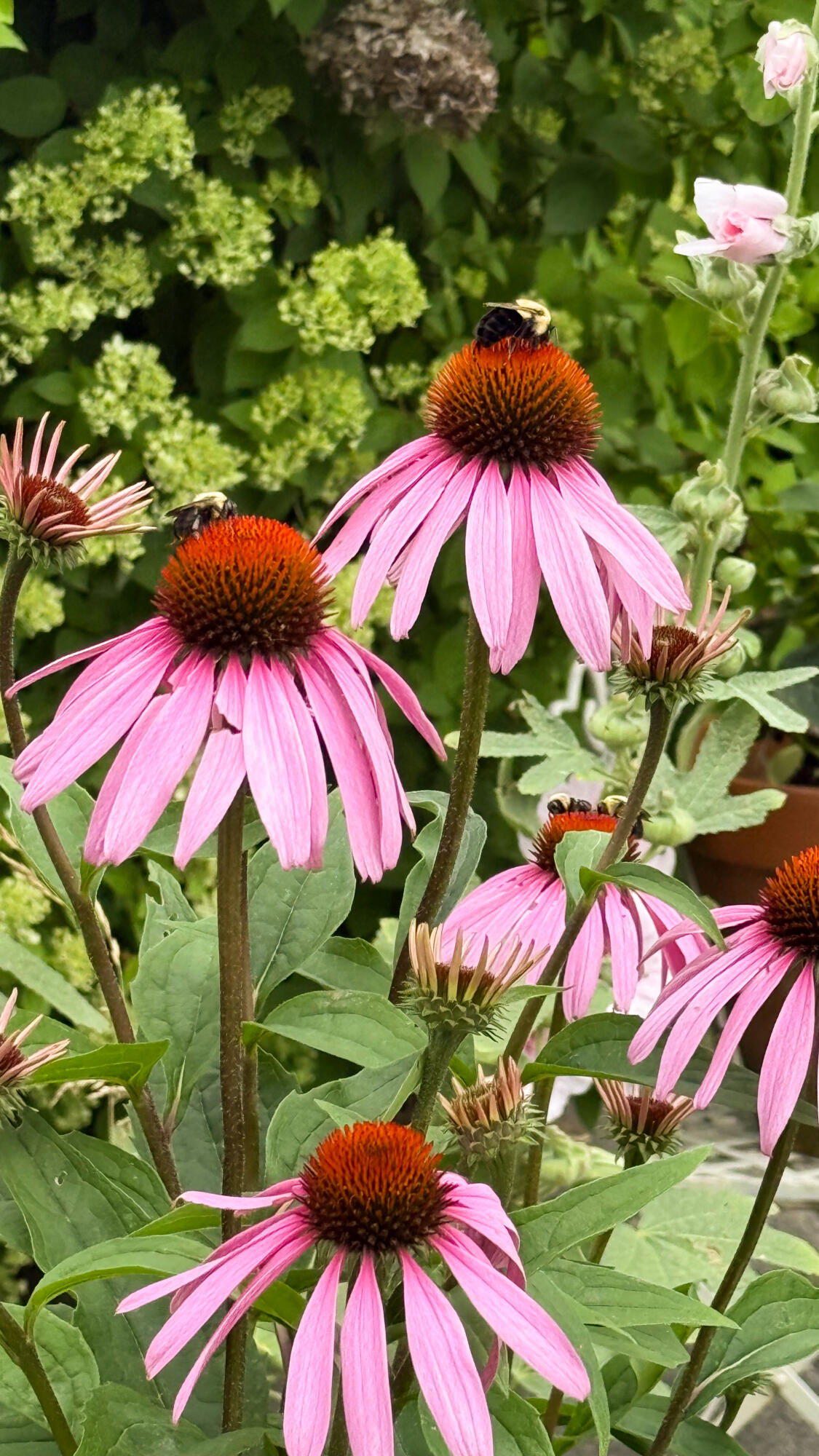 50 Glass Hill Road Guilford ME 04443