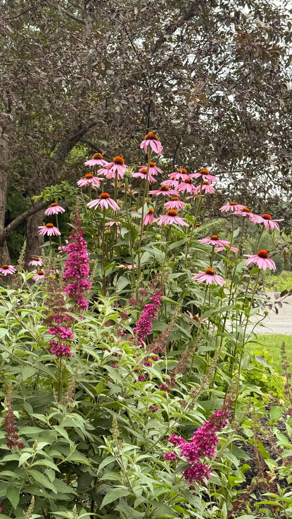 50 Glass Hill Road Guilford ME 04443