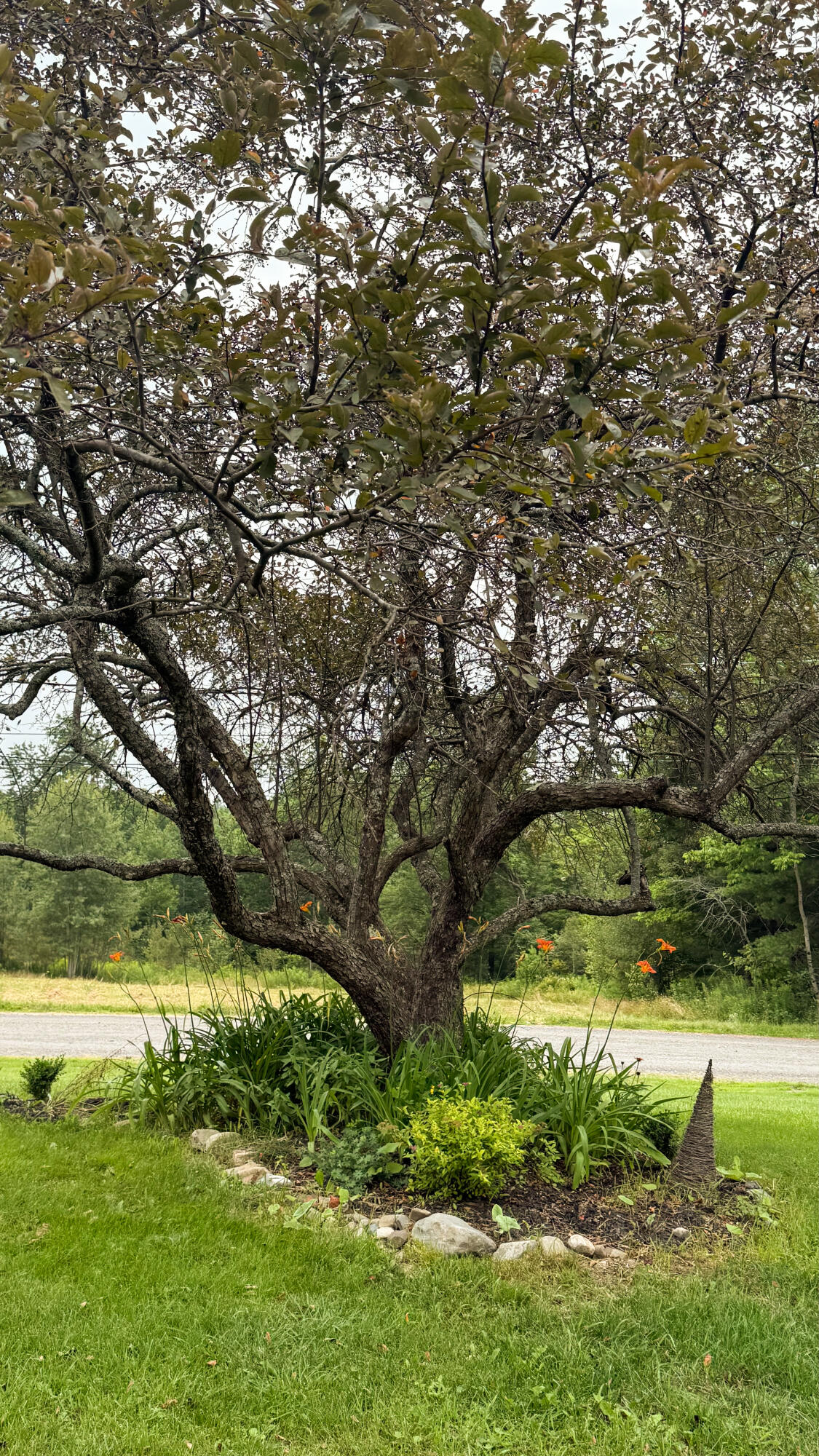 50 Glass Hill Road Guilford ME 04443