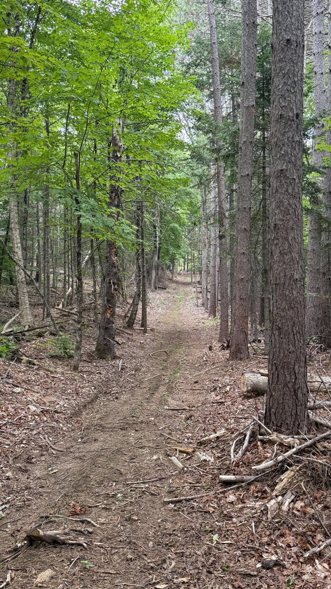 50 Glass Hill Road Guilford ME 04443