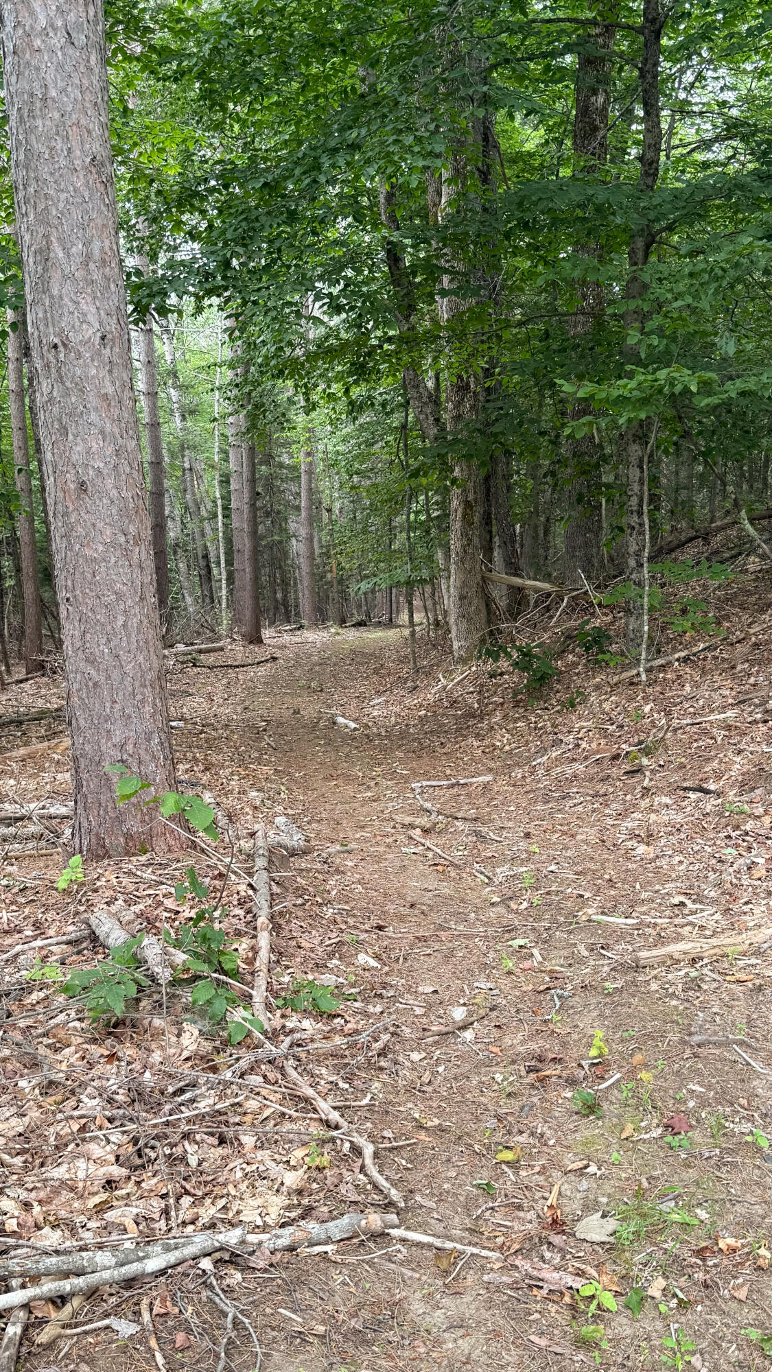 50 Glass Hill Road Guilford ME 04443