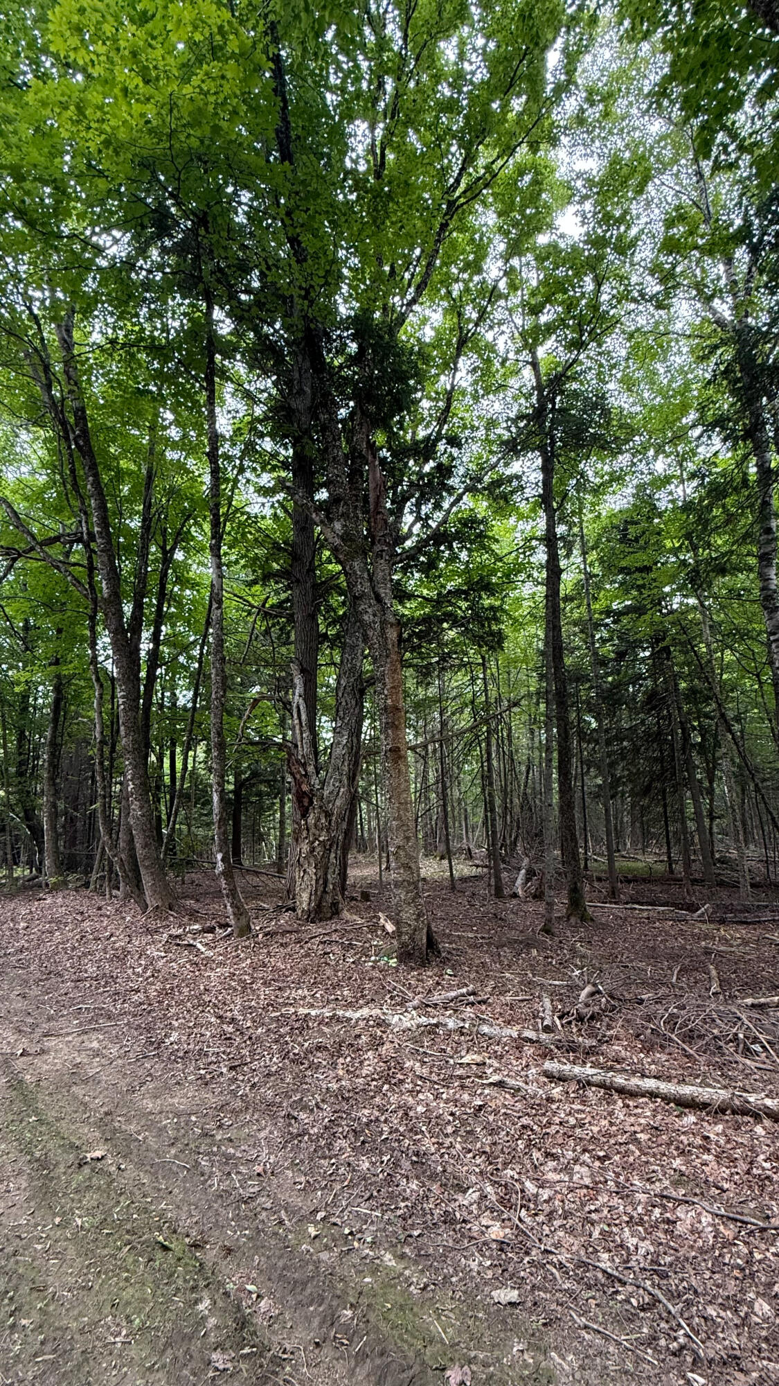 50 Glass Hill Road Guilford ME 04443