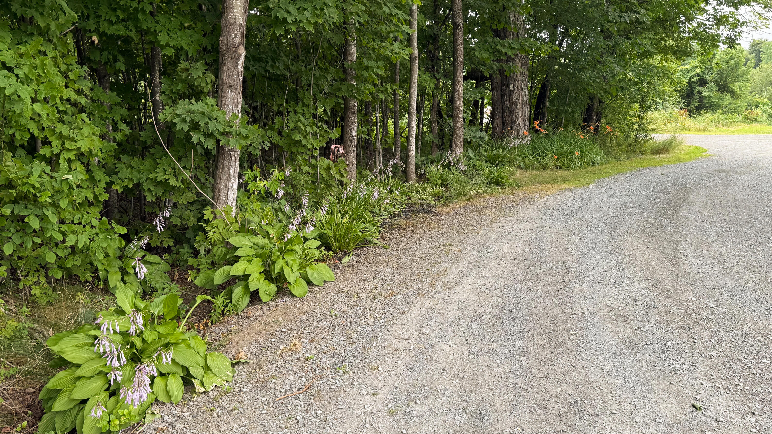 50 Glass Hill Road Guilford ME 04443