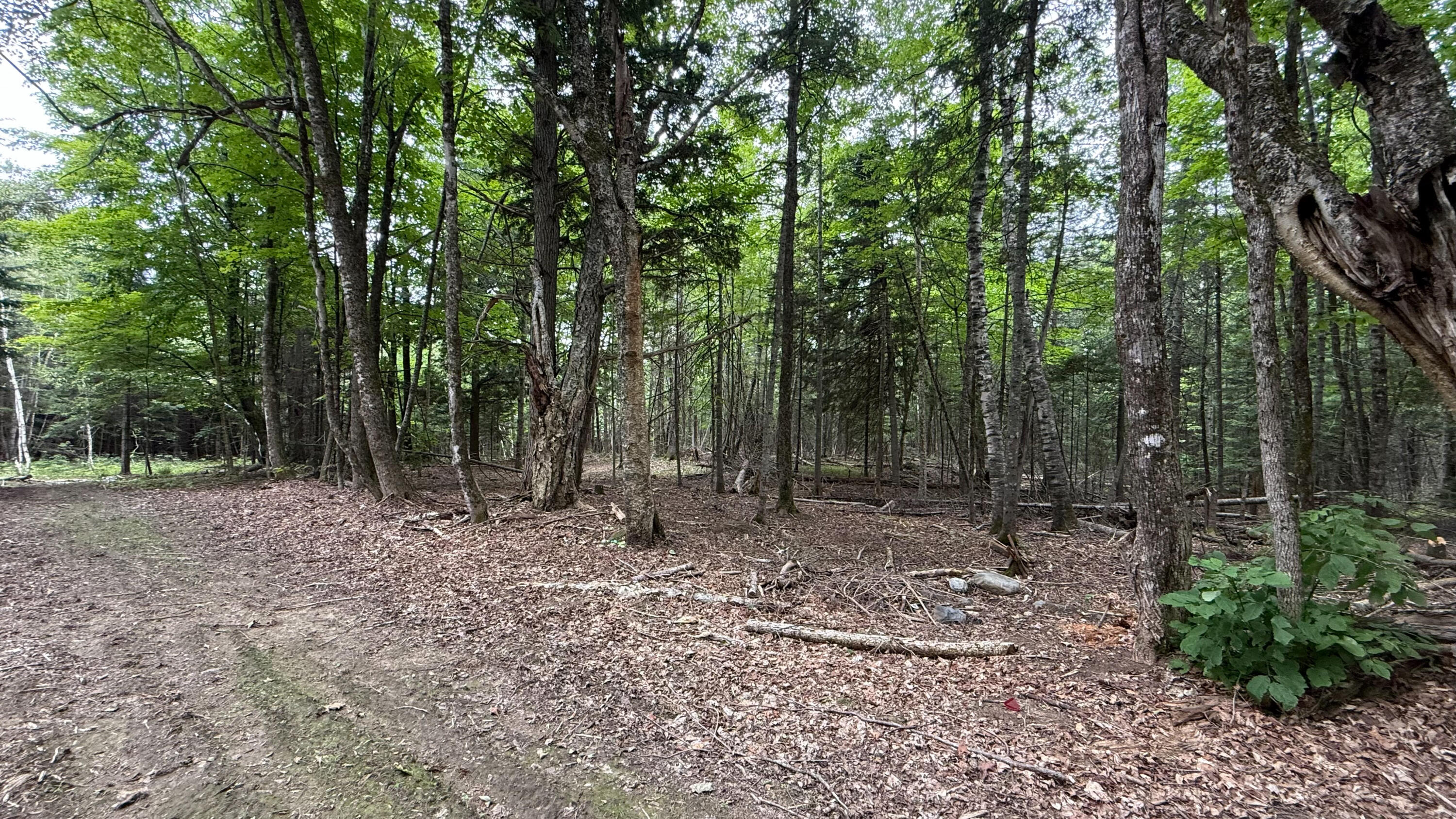 50 Glass Hill Road Guilford ME 04443