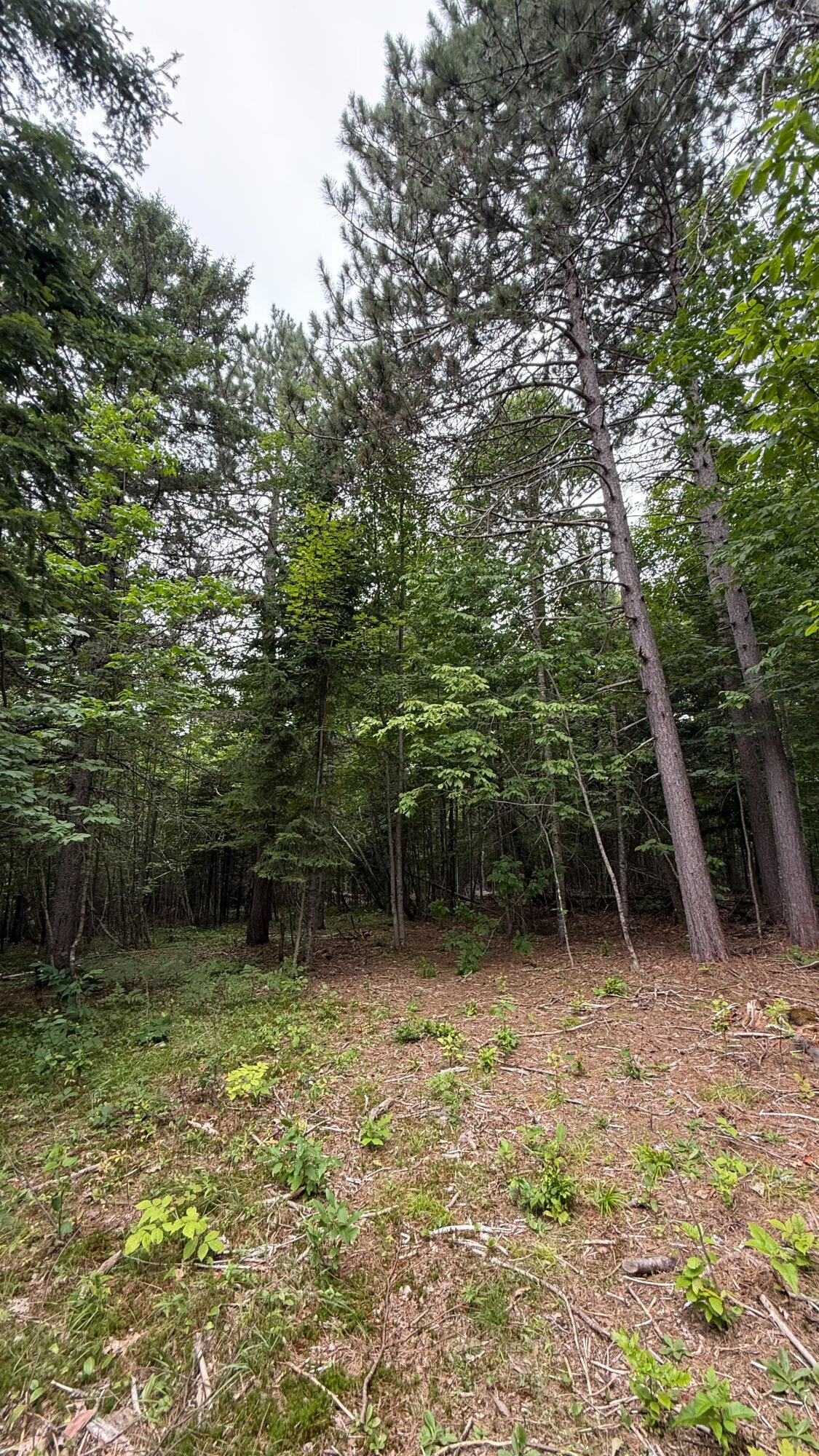 50 Glass Hill Road Guilford ME 04443