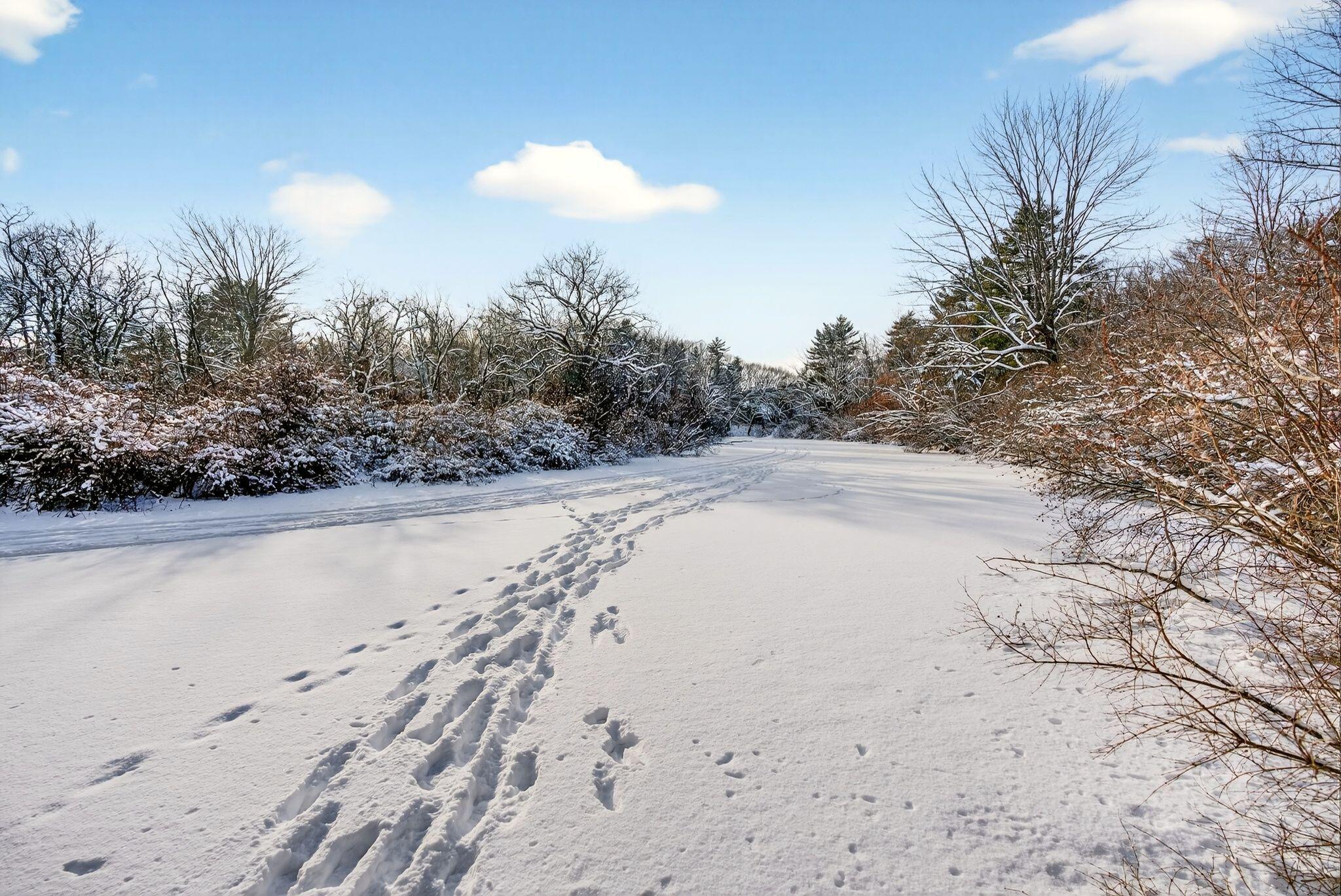 1346 Westbrook Street Portland ME 04102