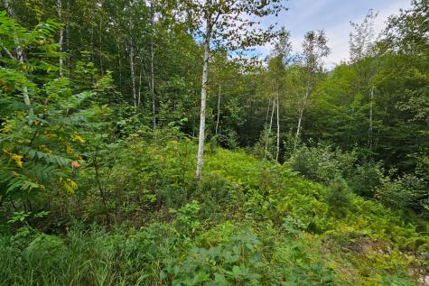 59 Holt Hill Road Bethel ME 04217