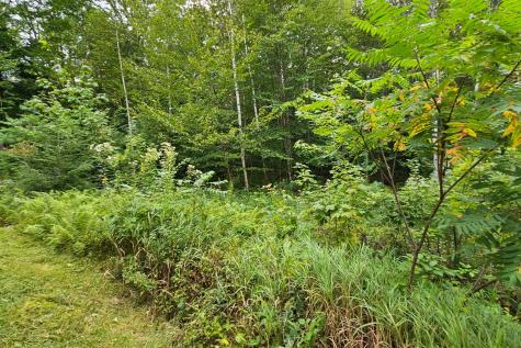 59 Holt Hill Road Bethel ME 04217