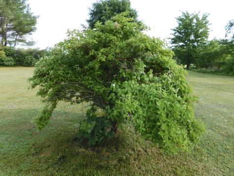 382 Exeter Road Corinth ME 04427