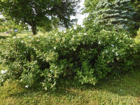 382 Exeter Road Corinth ME 04427