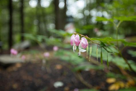 3 Deacon Drive York ME 03909