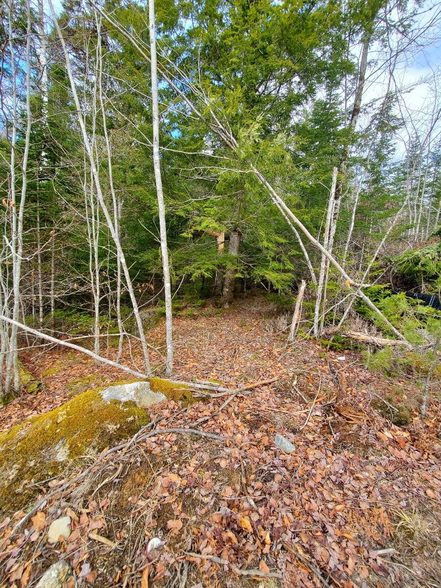 0 Pioneer Path Aurora ME 04408