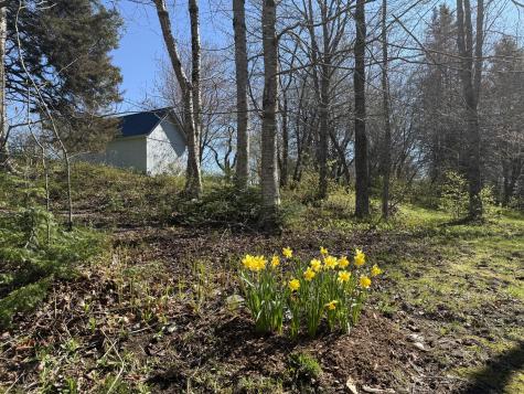 6 Wildberry Lane Greenville ME 04441