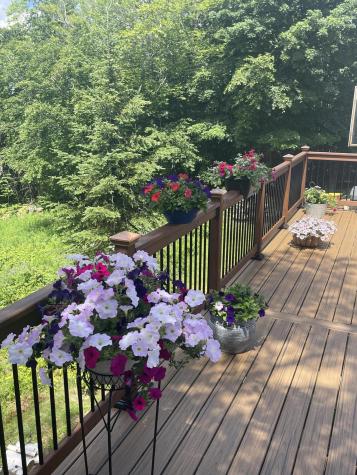 412 Lily Bay Road Greenville ME 04441