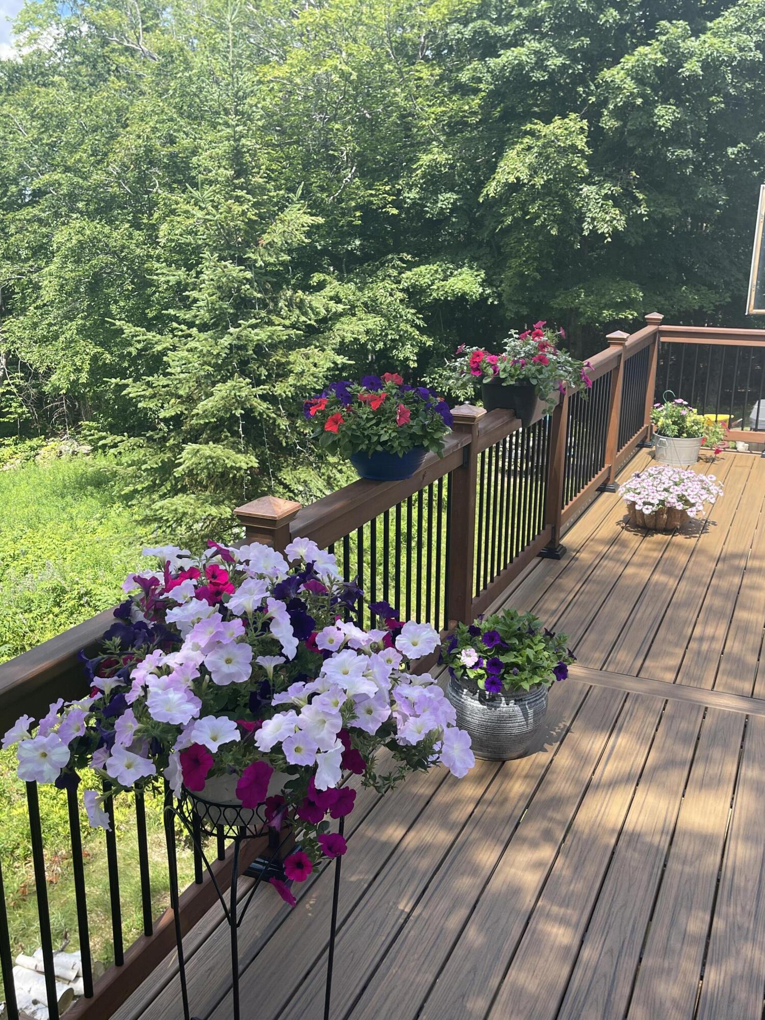 412 Lily Bay Road Greenville ME 04441