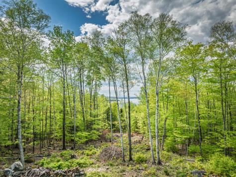 412 Lily Bay Road Greenville ME 04441
