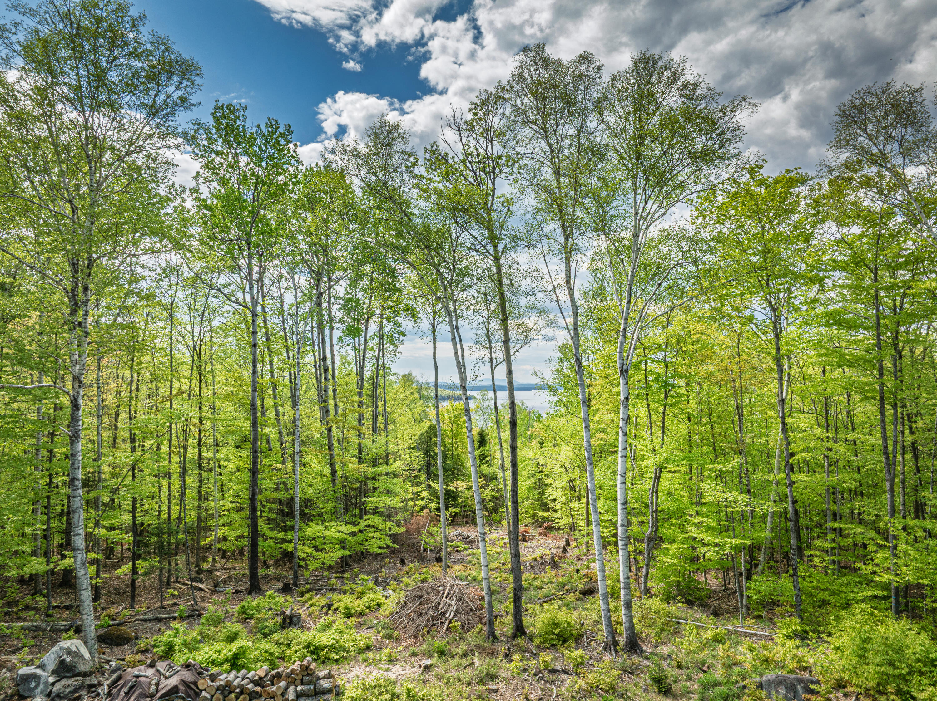 412 Lily Bay Road Greenville ME 04441