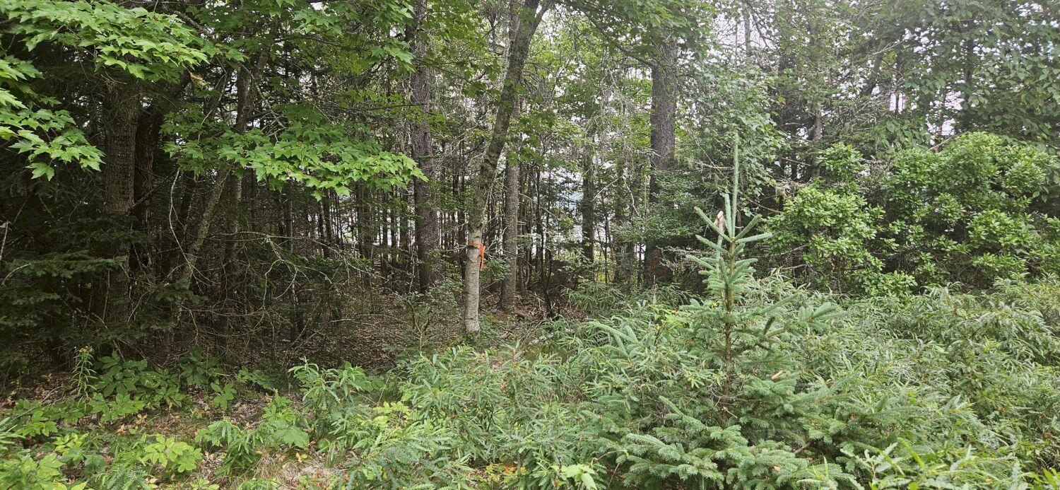 98 Meadow Point Road Lamoine ME 04605