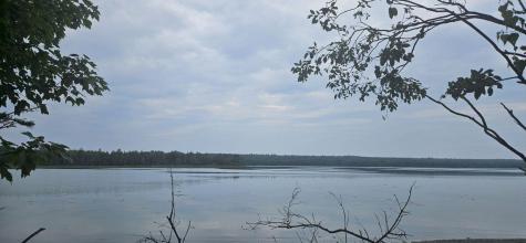 98 Meadow Point Road Lamoine ME 04605