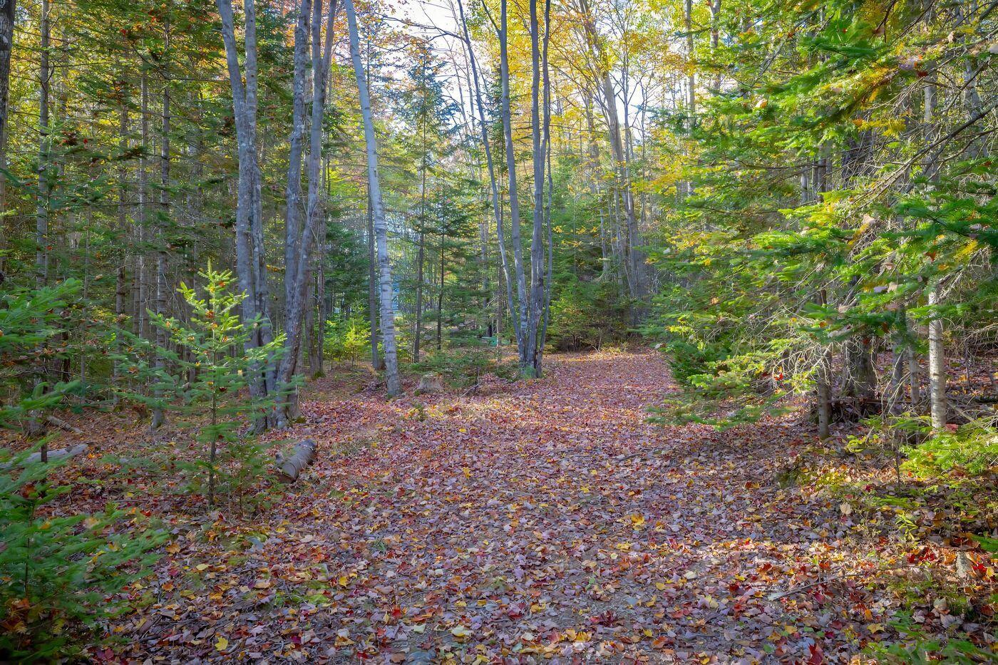 80 Heather Lane Hancock ME 04640