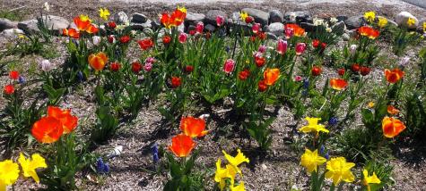 444 W Auburn Road Auburn ME 04210