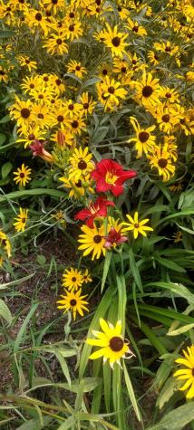 444 W Auburn Road Auburn ME 04210