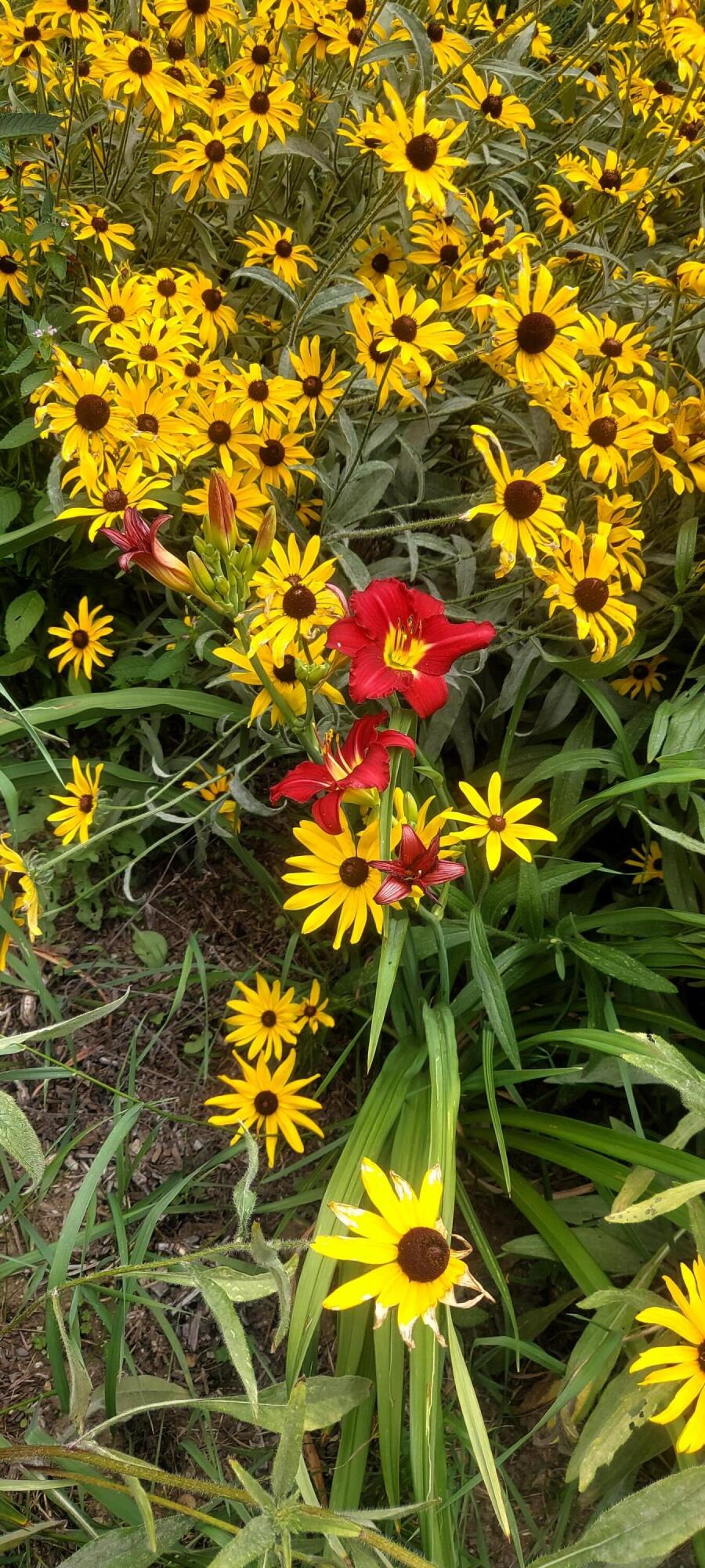 444 W Auburn Road Auburn ME 04210