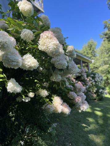 33 Sea View Drive Lincolnville ME 04849